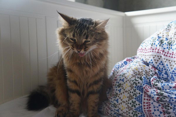 Татьяна Федякина