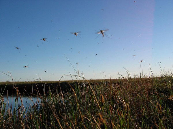 Владимир Тюкин