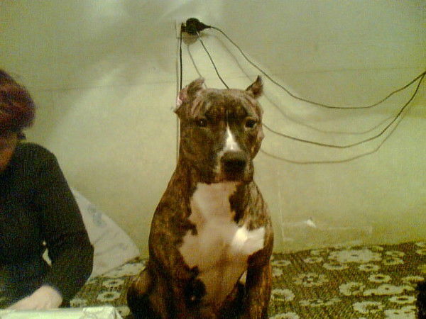 Алёна Алёнина