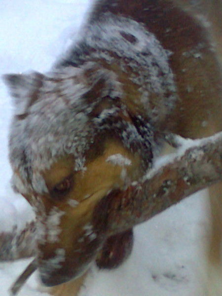 Юра Акименко