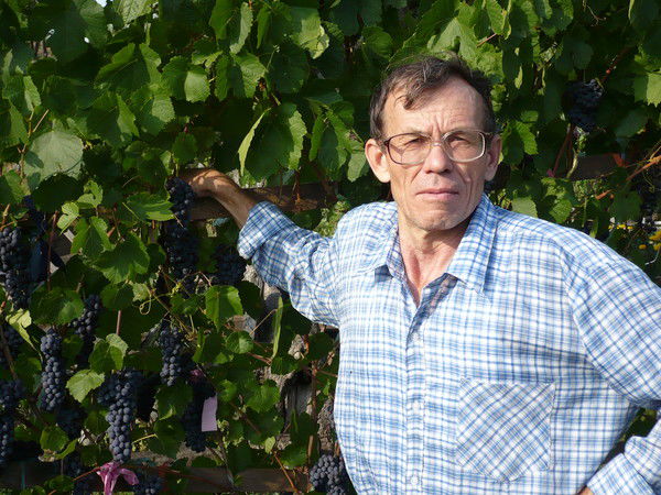 Николай Широков