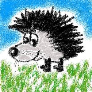 Неизвестно Неизвестно