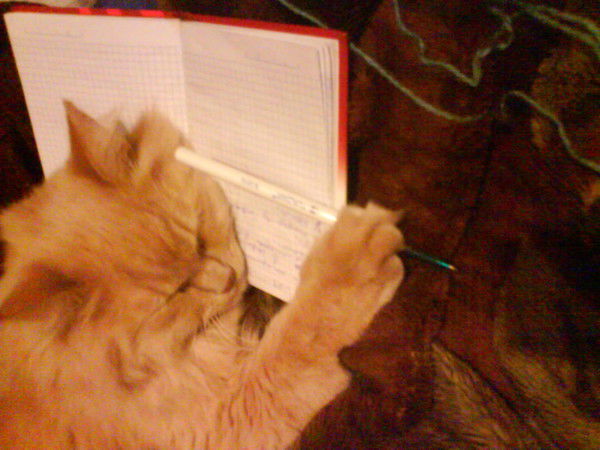 Леха Комаров