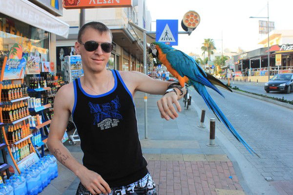 Марат Хасанов