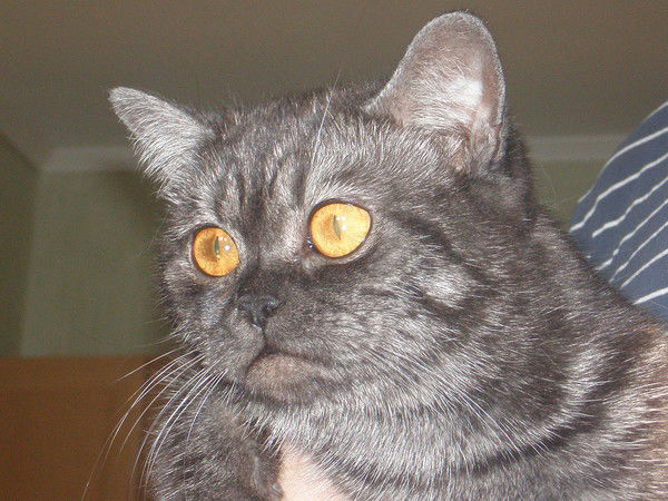 Джон Иванов