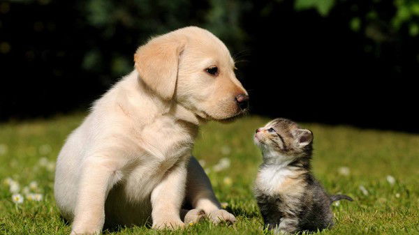 Анара Карымсакова