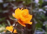 Сергей Ляхов