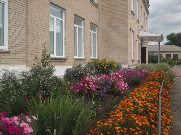 Мбоу Еткульская Нош Мбоу Еткульская Нош