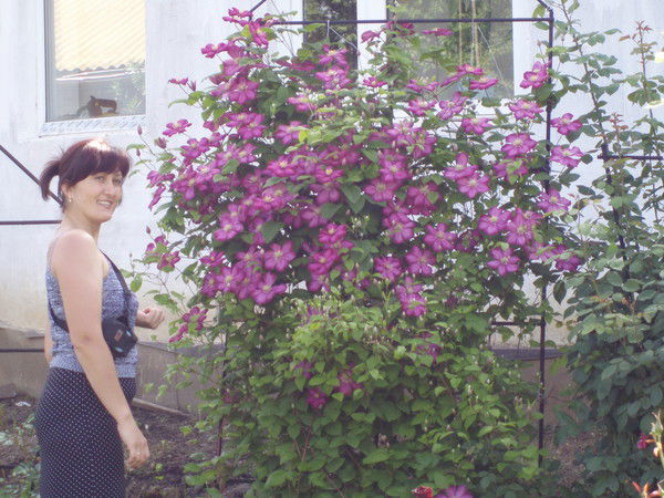 Юля Аброщенко