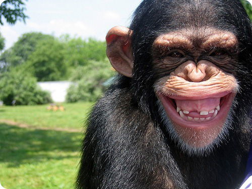 Евгений Заморин