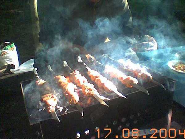 Елена Волкова