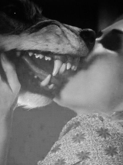 Саша Лермонтова