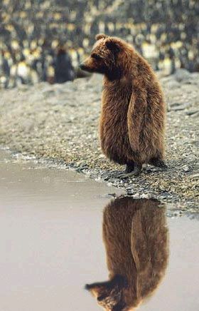 Александр Богатырев