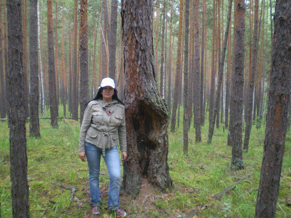 Наталья Аркаева