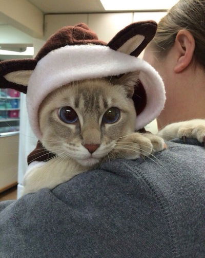 Владислав Мельниченко