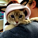 Владислав Мельниченко