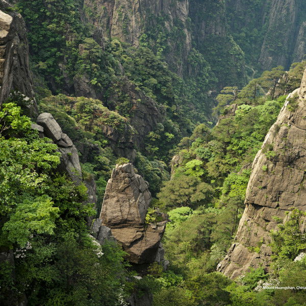 Мария Соловова