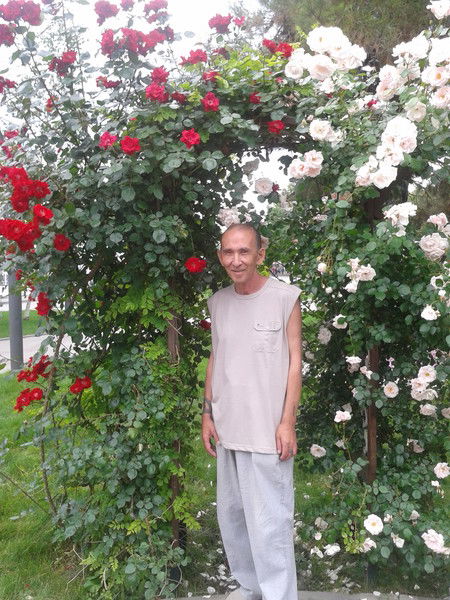 Валерий Метаков