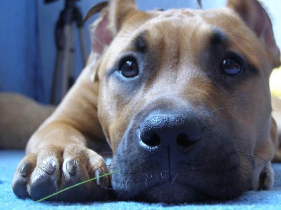 Юлия Чувакова