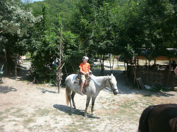 Алексей Федотов