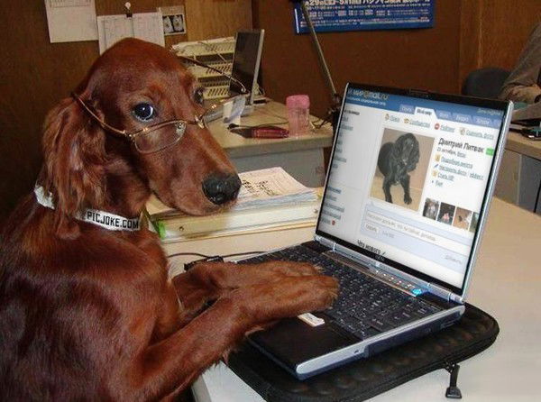 Востоковед Востоковедов