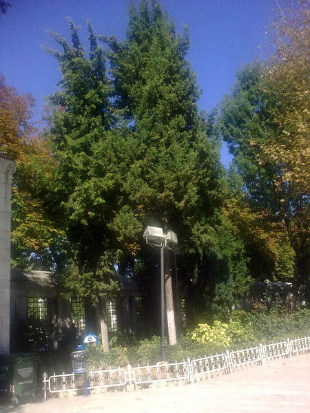 Иманбаева Алия