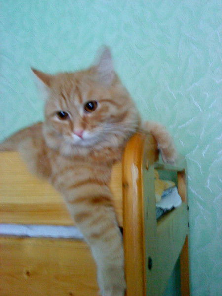 Сергей Еремеев