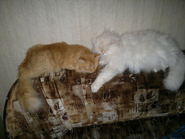 Сергей Александров