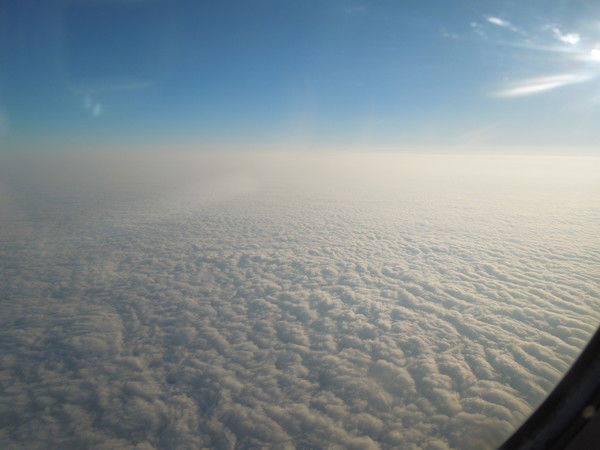 Антонина Шипицина