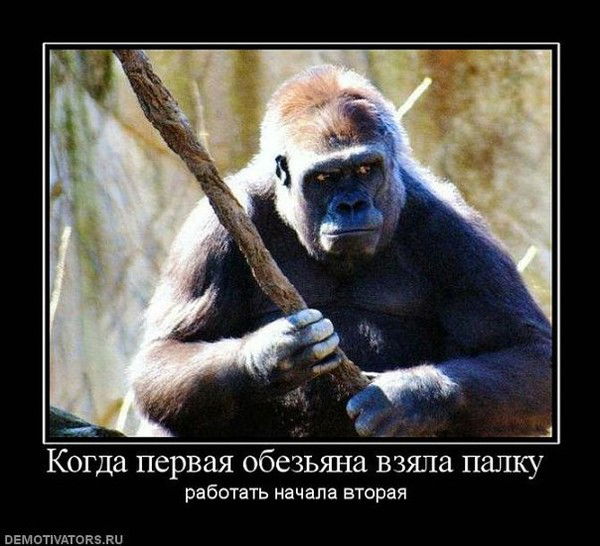 Павел Александров