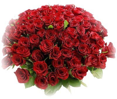 Лариса Макурина