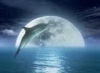 Дмитрий Козлов