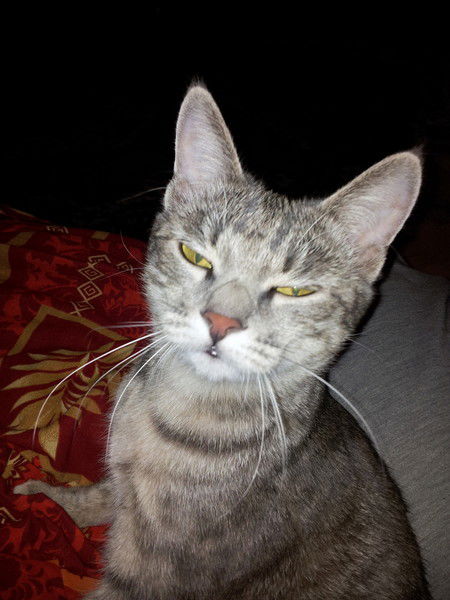 Алексей Ярошенко