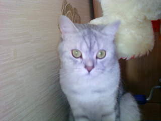 Адель Магдеев