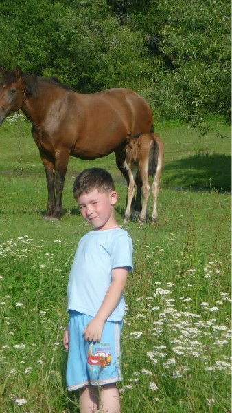 Андрей Башкиров