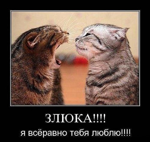 Зина Инчина