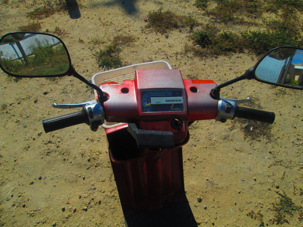 Андрей Гордиенко