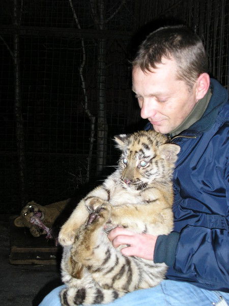 Андрей Вечерков