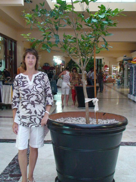 Юлия Шилова