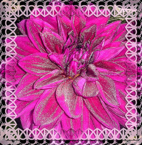 Надежда Чудиновских