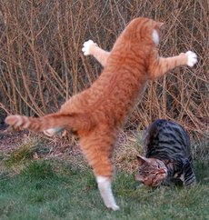 Александр К