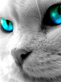 Галина Хорошайло