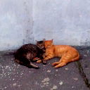 Ооо "атм-Каскад" Атм