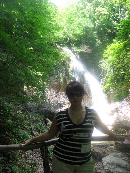 Алла Степаненко