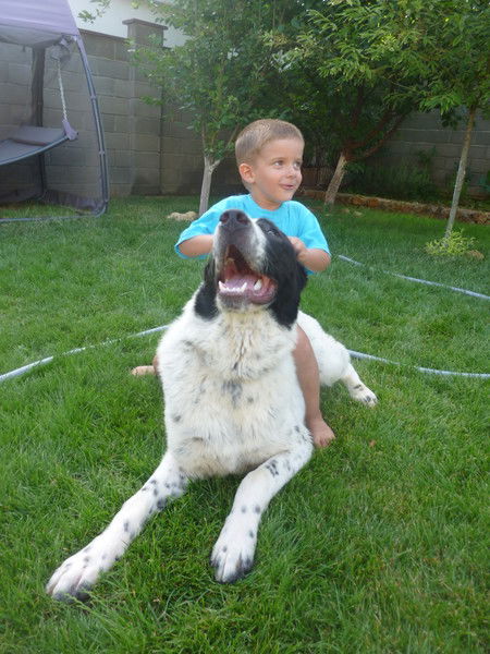 Оксана Максимова