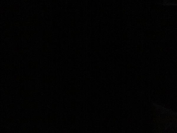 Максим Пикатин