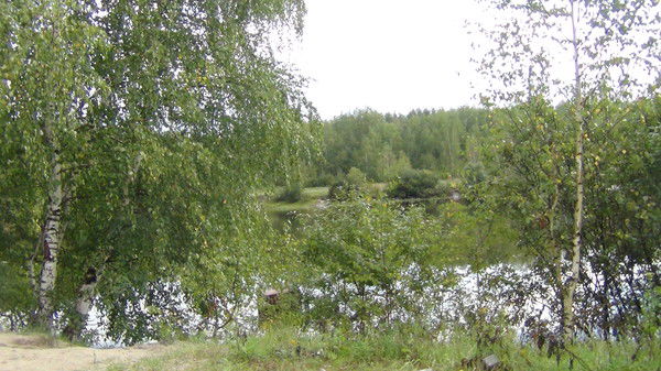 Андрей Шамшин