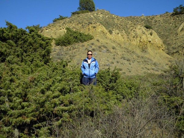 Виктория Самуленко