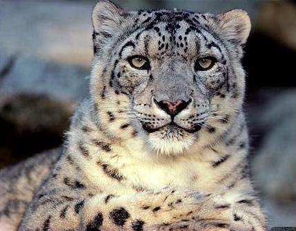 Дмитрий Костенко