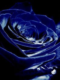 Маша Тарасенко